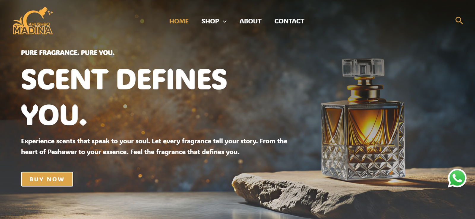 Screenshot 2026-03-01 154811 - Copy